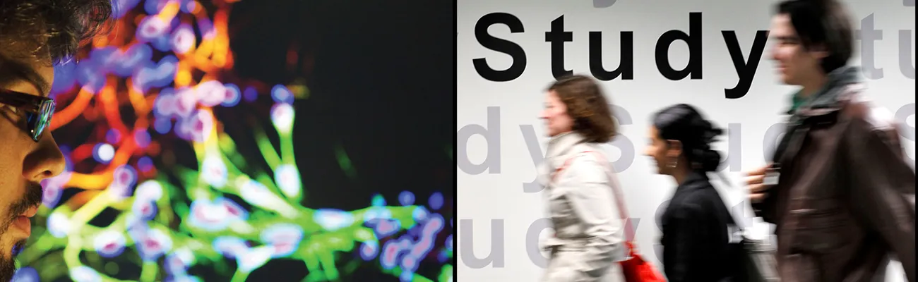 Medical Data Assets Workshop